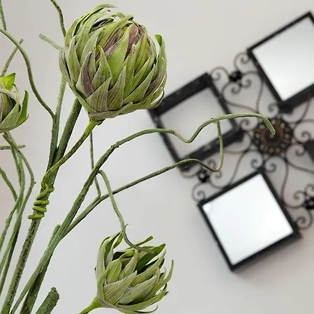 Paradise Nyaraló Prigradica