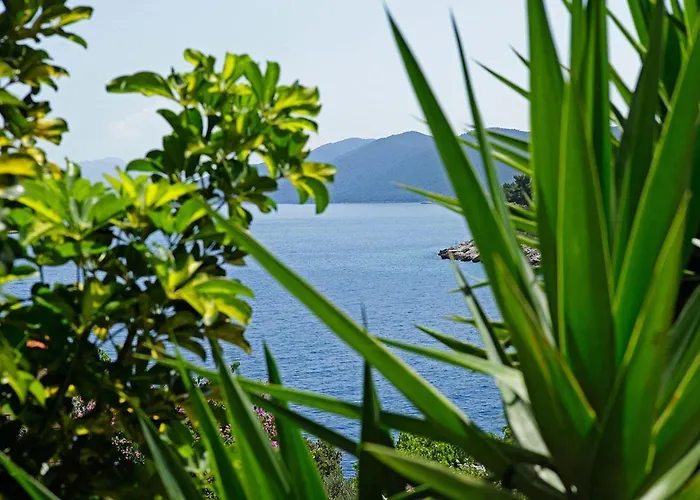 Paradise Ferienhaus *