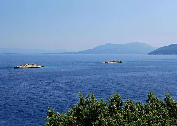 Ferienhaus Paradise *