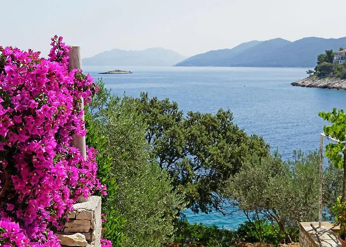 Paradise Ferienhaus *