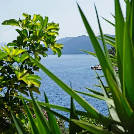 Paradise Σπίτι διακοπών *