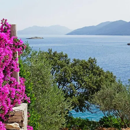 Paradise Holiday home *